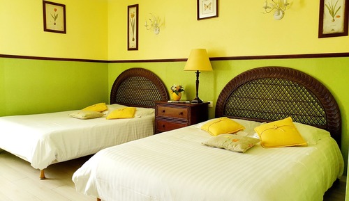 Habitación cuádruple estándar