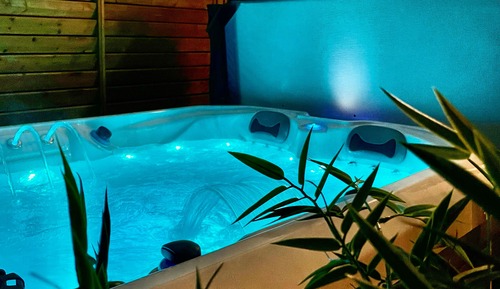 Suite Premium, 1 cama de matrimonio, bañera de hidromasaje, vistas al jardín