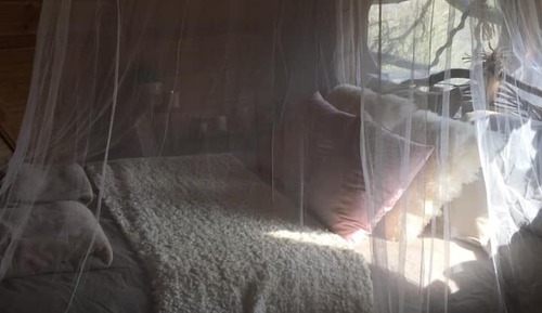 Cabaña panorámica, baño privado (Cabane Haut Perchee)