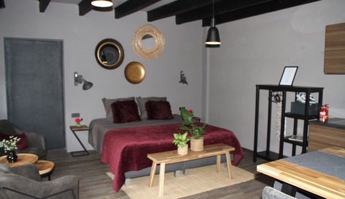 Suite estudio