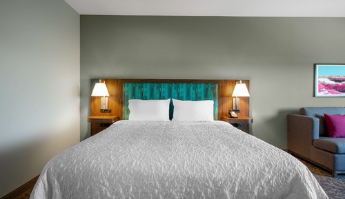 Habitación, 1 cama de matrimonio grande, frigorífico y microondas