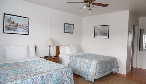 Habitación estándar doble, 2 camas dobles, no fumadores (Not Pet friendly)