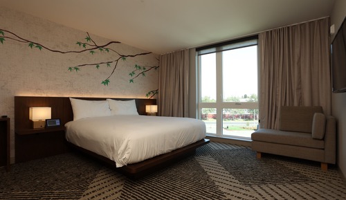 Suite (Hearing Accessible)