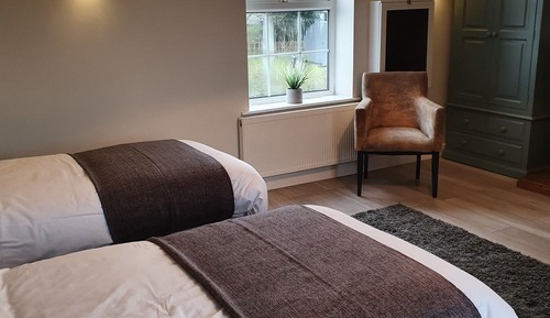 Habitación Deluxe con 2 camas individuales