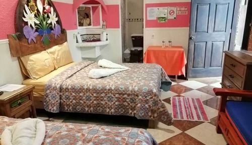 Habitación cuádruple familiar