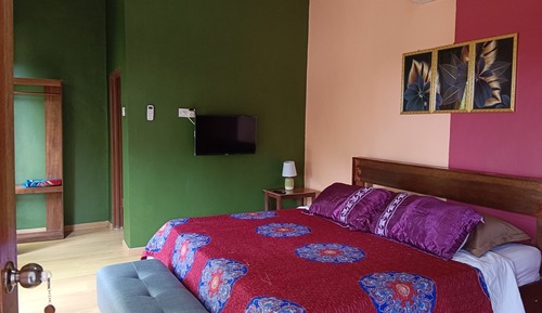 Habitación básica, 1 cama de matrimonio grande, vistas al jardín