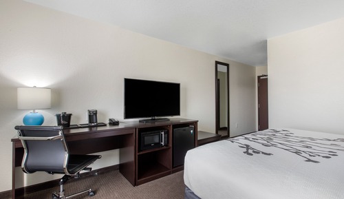 Habitación estándar, 1 cama de matrimonio grande, no fumadores
