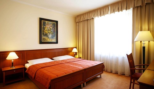 Habitación básica con 1 cama doble o 2 individuales