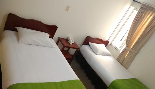 Habitación estándar con 2 camas individuales