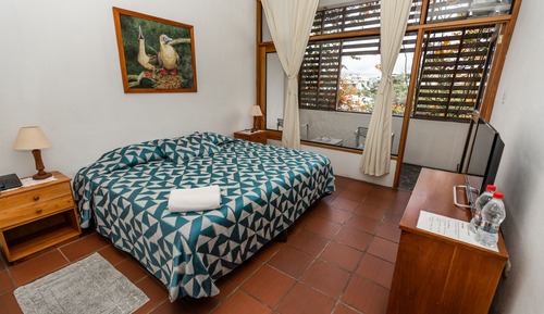 Habitación doble, 1 cama doble