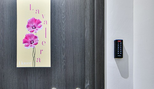 Apartamento Deluxe (Lavatera)