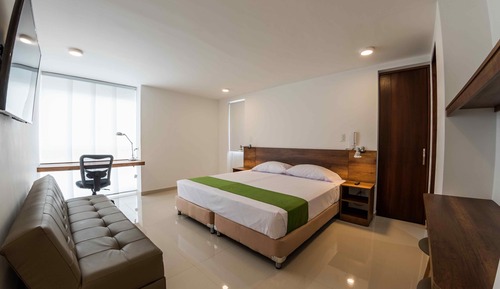 Suite estudio Premium