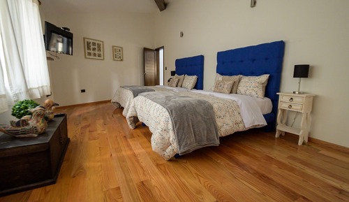 Loft Confort (Lucca)