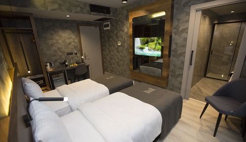 Habitación estándar con 2 camas individuales