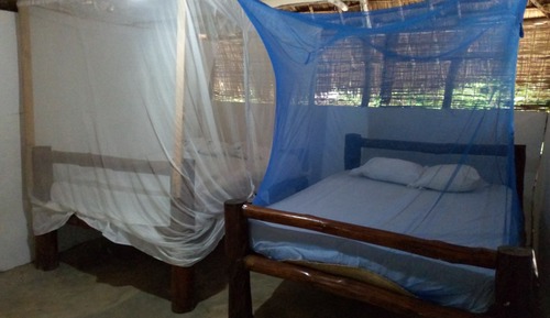 Habitación económica doble, baño privado, vistas al jardín (Bamboo)