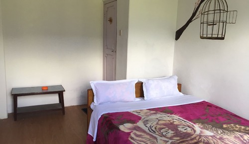 Habitación individual estándar