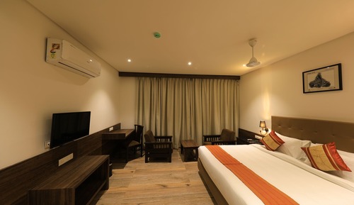 Suite estudio