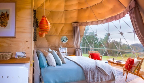 Tienda panorámica, 1 cama de matrimonio grande, vistas al viñedo (The Pinot Glampers Dome)