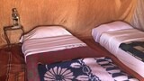 Tent, 1 Double Bed
