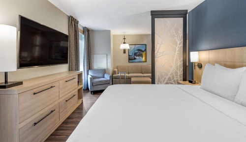 Suite, 1 cama de matrimonio grande con sofá cama