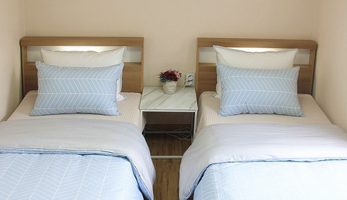 Habitación estándar doble, 2 camas individuales, no fumadores