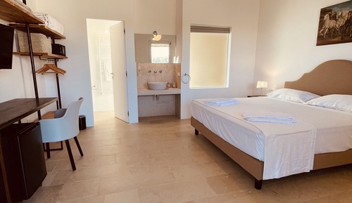 Habitación Deluxe con 1 cama doble o 2 individuales