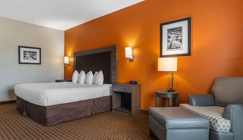 Habitación estándar, 1 cama de matrimonio grande, no fumadores, frigorífico y microondas