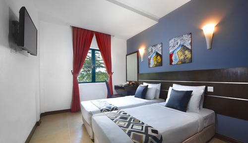 Habitación Deluxe con 2 camas individuales