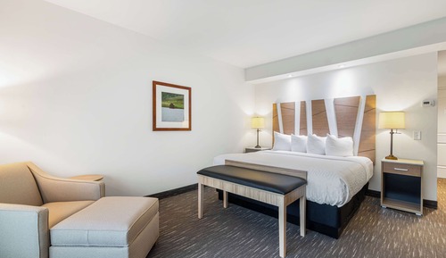 Habitación estándar, 1 cama de matrimonio grande, accesible para personas con discapacidad