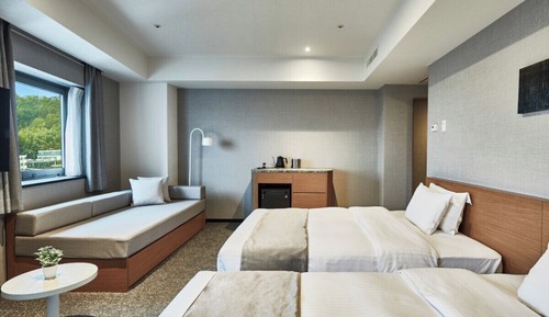 Habitación Deluxe con 2 camas individuales, varias camas, no fumadores (2-5 pax use)