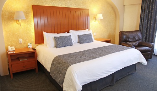 Habitación ejecutiva, 1 cama de matrimonio grande