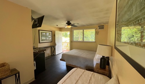 Estudio estándar, varias camas, baño privado, vistas al jardín (#8)
