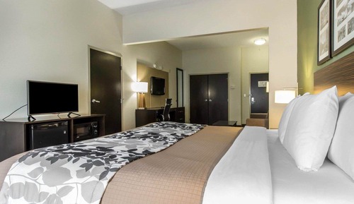 Habitación, 1 cama de matrimonio grande, accesible para personas con discapacidad, no fumadores