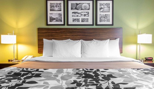 Habitación estándar, 1 cama de matrimonio grande, no fumadores