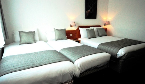 Habitación, varias camas, no fumadores