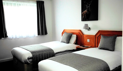 Habitación con 2 camas individuales, 2 camas individuales