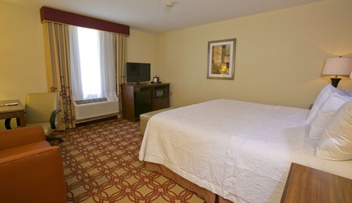 Habitación, 1 cama de matrimonio grande, accesible para personas con discapacidad (Hearing)