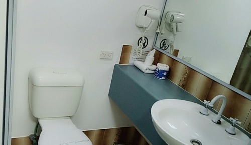 Habitación estándar con 2 camas individuales