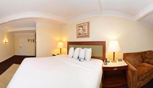 Suite Deluxe, 1 cama de matrimonio grande, no fumadores