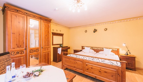 Standard Double Room Single Use