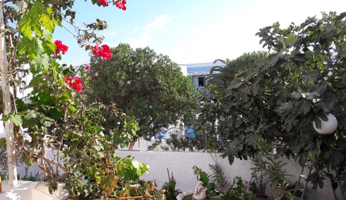Habitación doble, vistas al jardín, planta baja