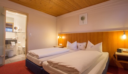 Habitación doble (Category C)