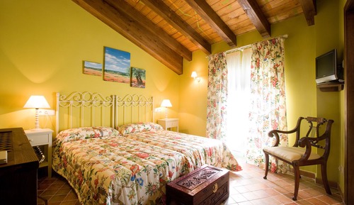 Habitación (Olivo)