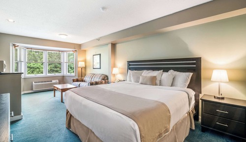 Habitación estándar, 1 cama de matrimonio grande con sofá cama, no fumadores