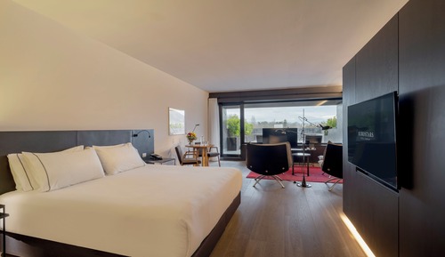 Suite ejecutiva, terraza