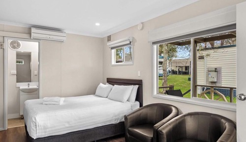 Cabaña estándar (Studio, Pet Friendly)