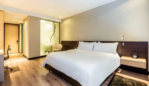 Habitación ejecutiva, 1 cama de matrimonio grande