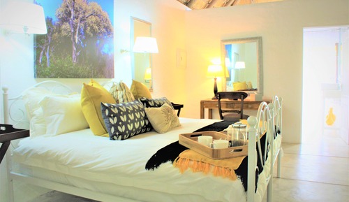 Suite estudio Deluxe, 2 habitaciones, no fumadores, planta baja (Shikwari Knobthorn)