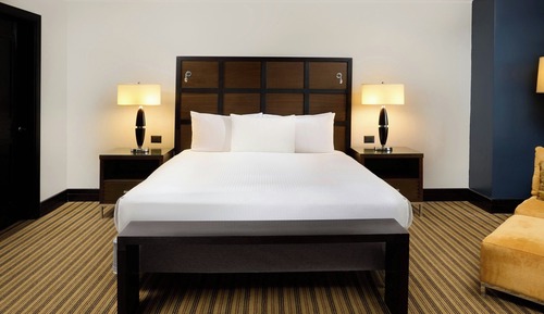 Suite ejecutiva, 1 cama de matrimonio grande, no fumadores, vistas a la ciudad