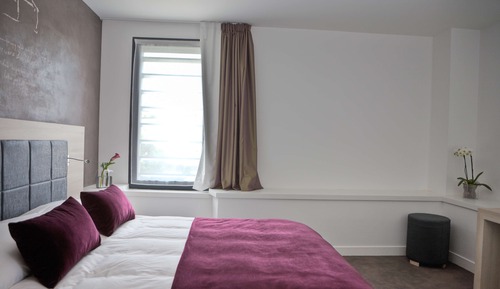 Habitación estándar, 1 cama de matrimonio (Twin bed on request)